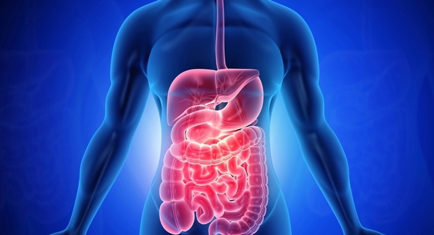 Amikor az emésztés lassul: amit 50 felett tudni érdemes