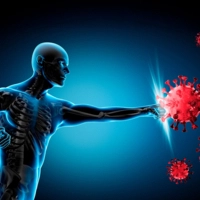 Amikor a test védekezése támogatásra szorul