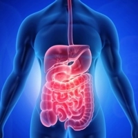 Amikor az emésztés lassul: amit 40 felett tudni érdemes