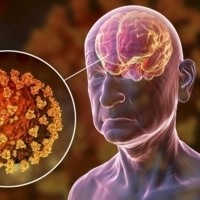 Szellemi frissesség megőrzése: az agyi egészség támogatása 50 felett