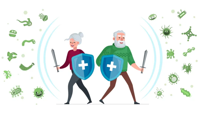 Immunrendszer 40 felett: amit az immunöregedésről tudni érdemes