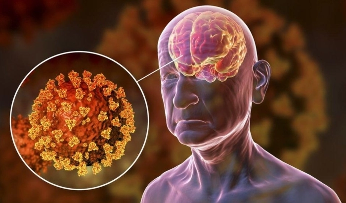 Szellemi frissesség megőrzése: az agyi egészség támogatása 50 felett