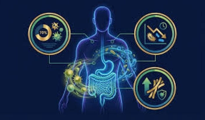 Immunrendszer erősítése 40 felett — tudományos alapú útmutató